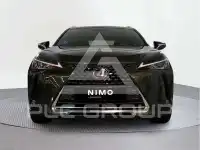 2021 Lexus UX250