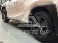 2021 Lexus UX250