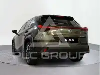 2021 Lexus UX250