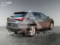 2021 Lexus UX250