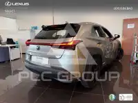 2021 Lexus UX250
