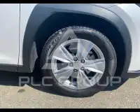 2021 Lexus UX250