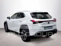 2021 Lexus UX250