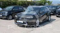 2021 Lexus UX250