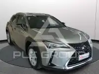 2021 Lexus UX250