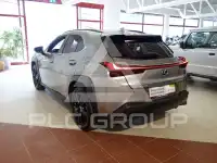 2021 Lexus UX250