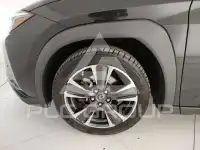 2021 Lexus UX250