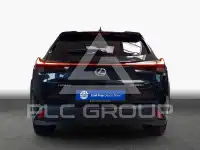 2021 Lexus UX250