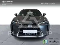 2021 Lexus UX250