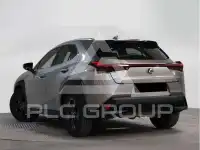 2021 Lexus UX250