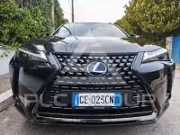 2021 Lexus UX250