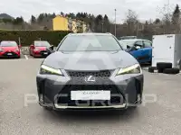2021 Lexus UX250