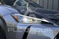 2021 Lexus UX250