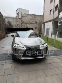 2021 Lexus UX250