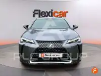 2021 Lexus UX250