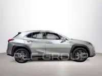 2021 Lexus UX250