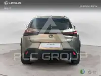 2021 Lexus UX250