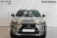 2021 Lexus UX250