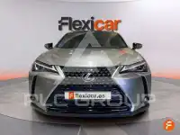2021 Lexus UX250