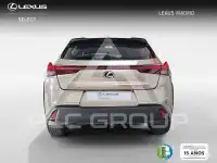 2021 Lexus UX250