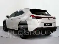 2021 Lexus UX250