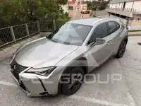 2021 Lexus UX250