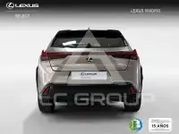 2021 Lexus UX250