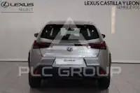 2021 Lexus UX250