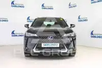2021 Lexus UX250