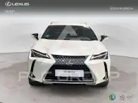 2021 Lexus UX250