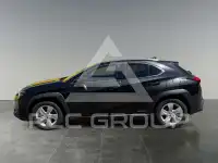 2021 Lexus UX250