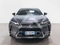 2021 Lexus UX250