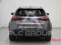 2021 Lexus UX250