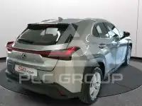 2021 Lexus UX250
