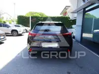 2021 Lexus UX250