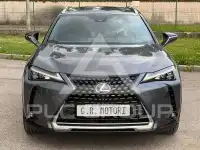 2021 Lexus UX250