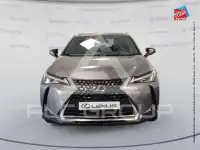 2021 Lexus UX250