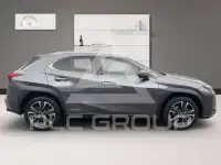 2021 Lexus UX250