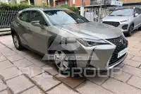 2021 Lexus UX250