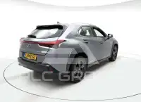 2021 Lexus UX250