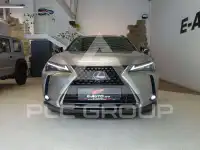 2021 Lexus UX250