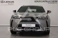 2021 Lexus UX250
