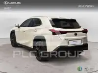 2021 Lexus UX250