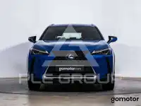 2021 Lexus UX250