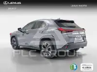 2021 Lexus UX250