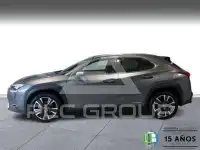 2021 Lexus UX250