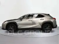 2021 Lexus UX250