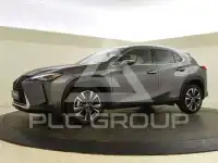 2021 Lexus UX250