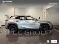 2021 Lexus UX250