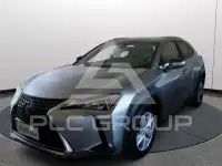 2021 Lexus UX250